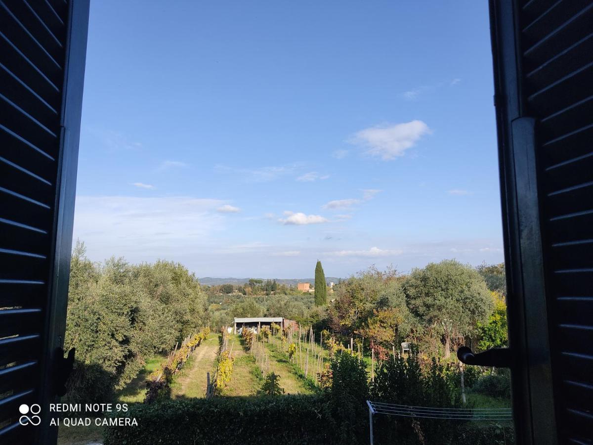 Holiday House I Colli Pisani Lägenhet Capannoli Exteriör bild
